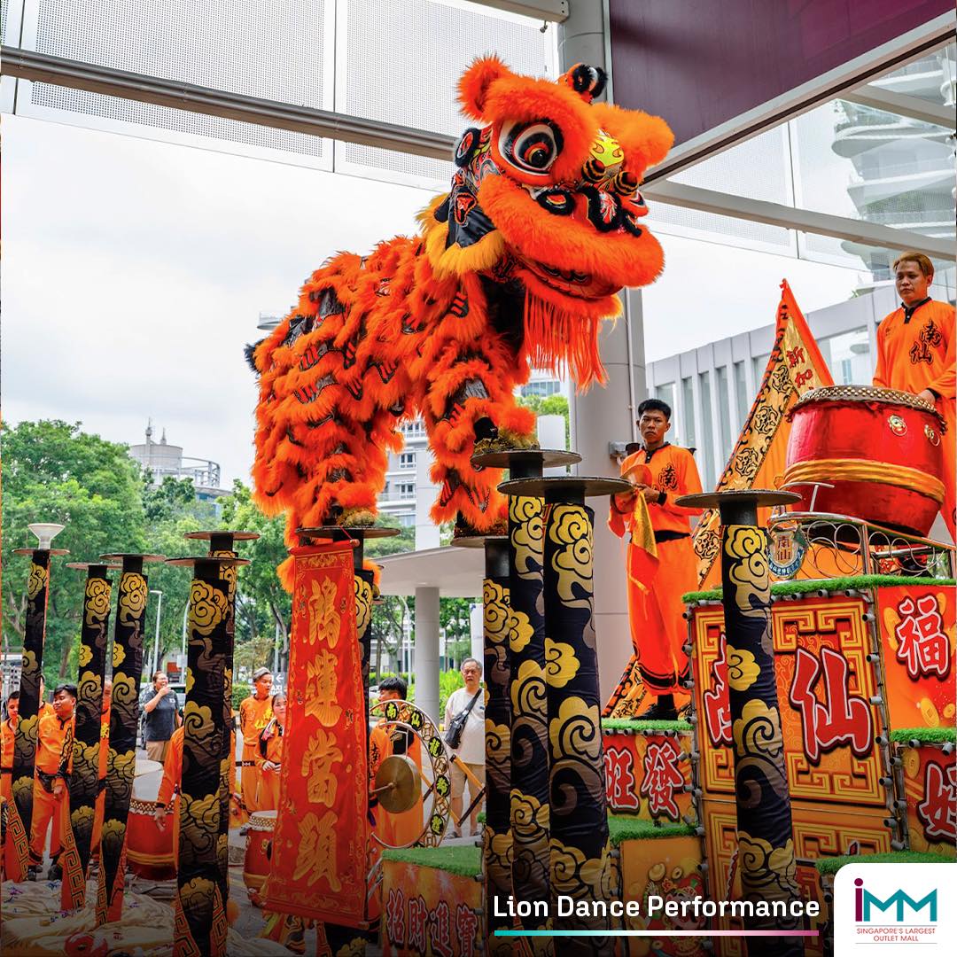 Detailed view of the traditional lion dance costume