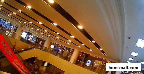 Interior view of a shopping mall with escalators and illuminated shops.