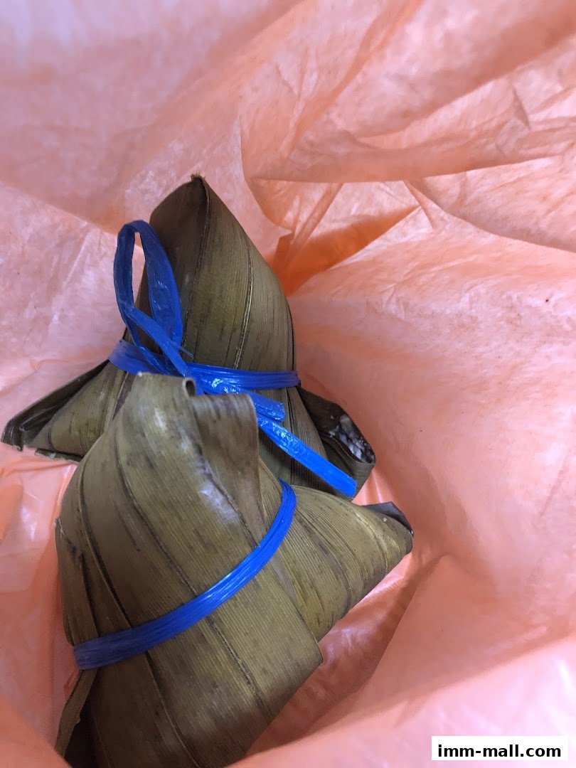 Two rice dumplings wrapped in leaves and tied with blue string, nestled in pink paper.