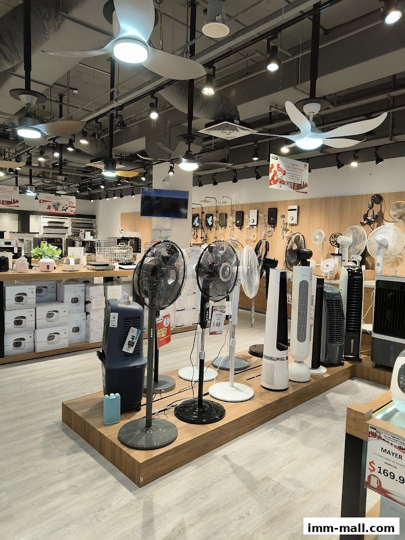 Interior view of a retail store showcasing various types of fans and air coolers.