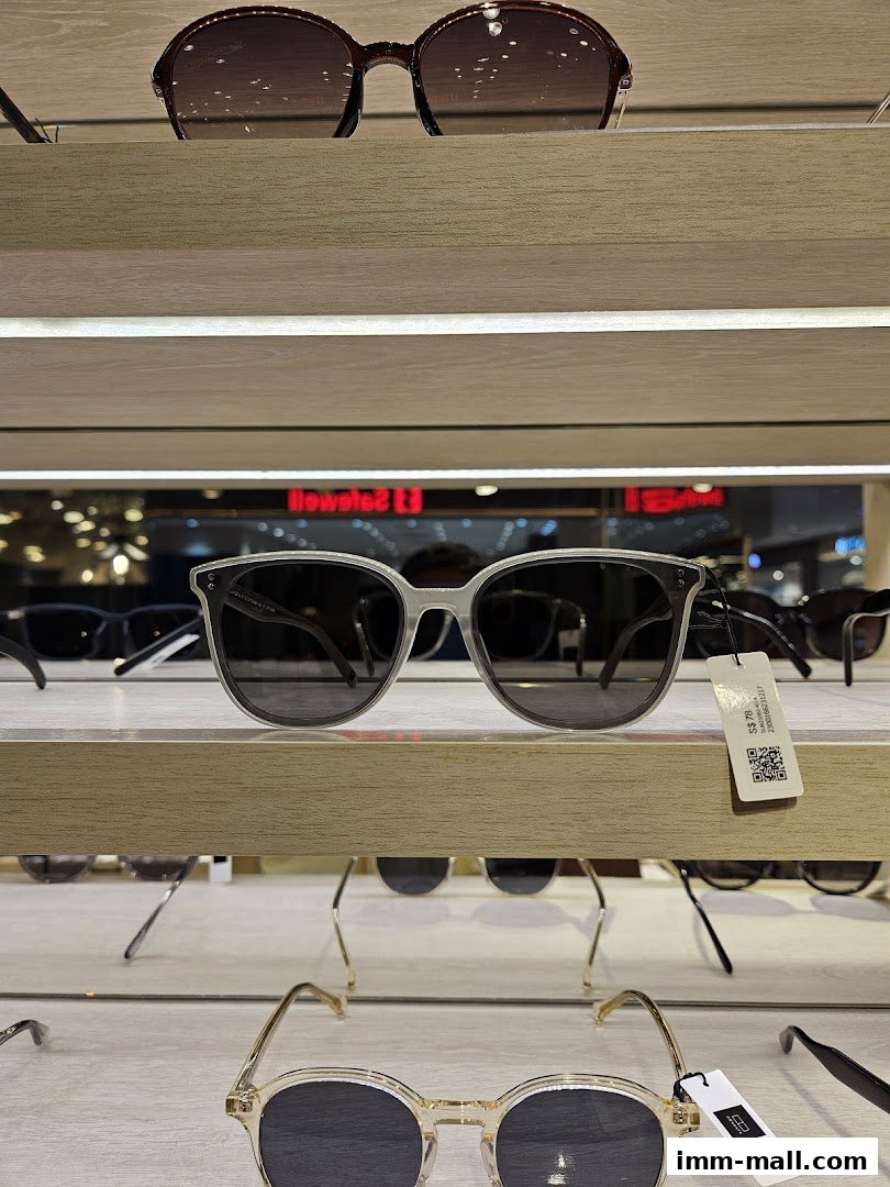 A display of various stylish sunglasses and eyeglasses on shelves in a retail store.