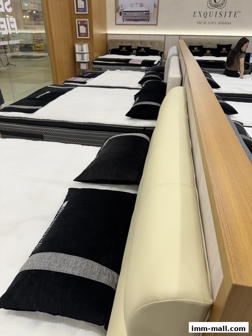 Interior view of a Sealy Sleep Boutique showcasing multiple beds with pillows and headboards.