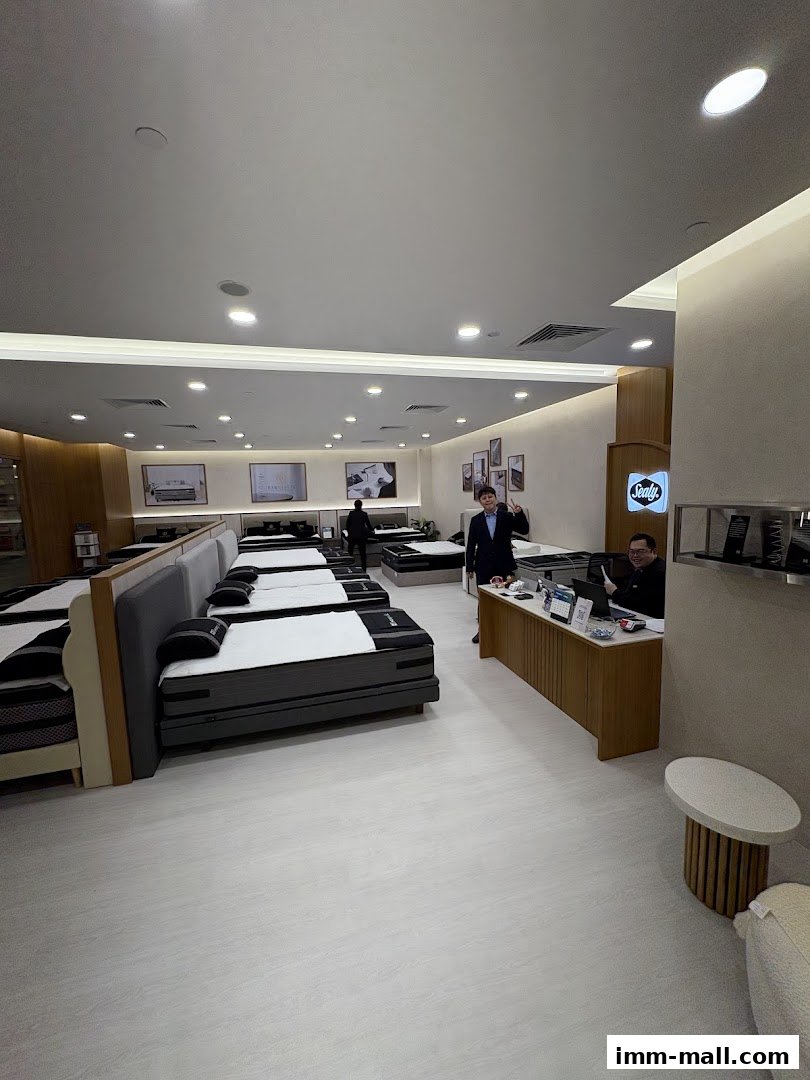 Interior of a Sealy Sleep Boutique with multiple beds on display and staff at the counter.