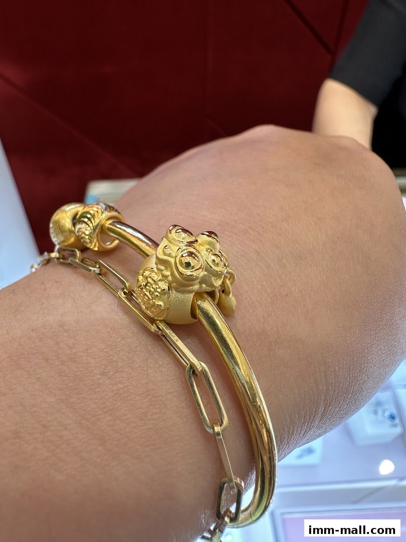 A close-up shot of a person wearing two gold bracelets, one with a lion's head design.