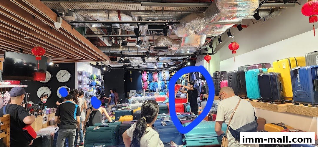 Interior of a travel store showcasing a wide variety of luggage and travel accessories.
