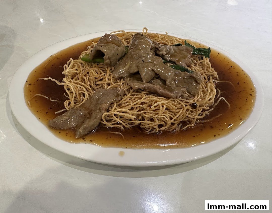 A plate of crispy noodles topped with sliced beef and a savory brown sauce.